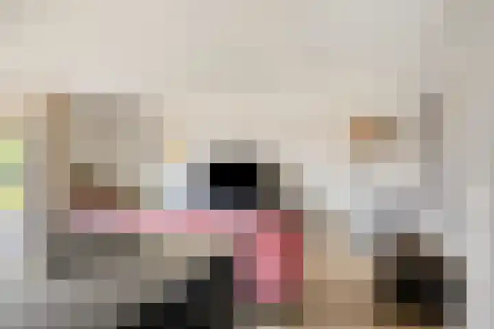 Torenbeemd 35 Oisterwijk thumbnail 7