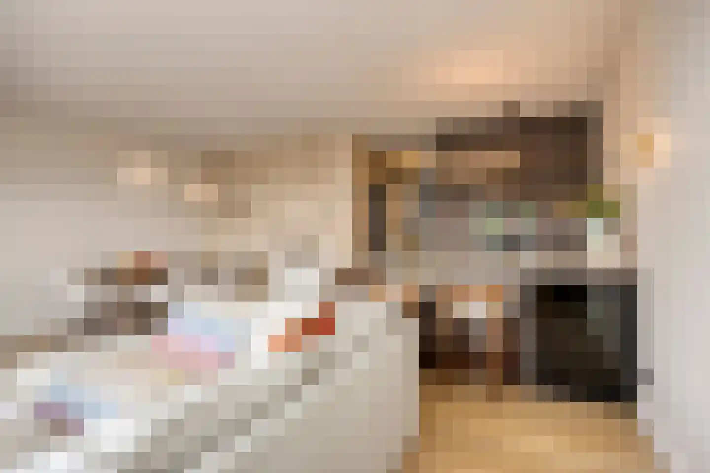 Torenbeemd 47 Oisterwijk thumbnail 16