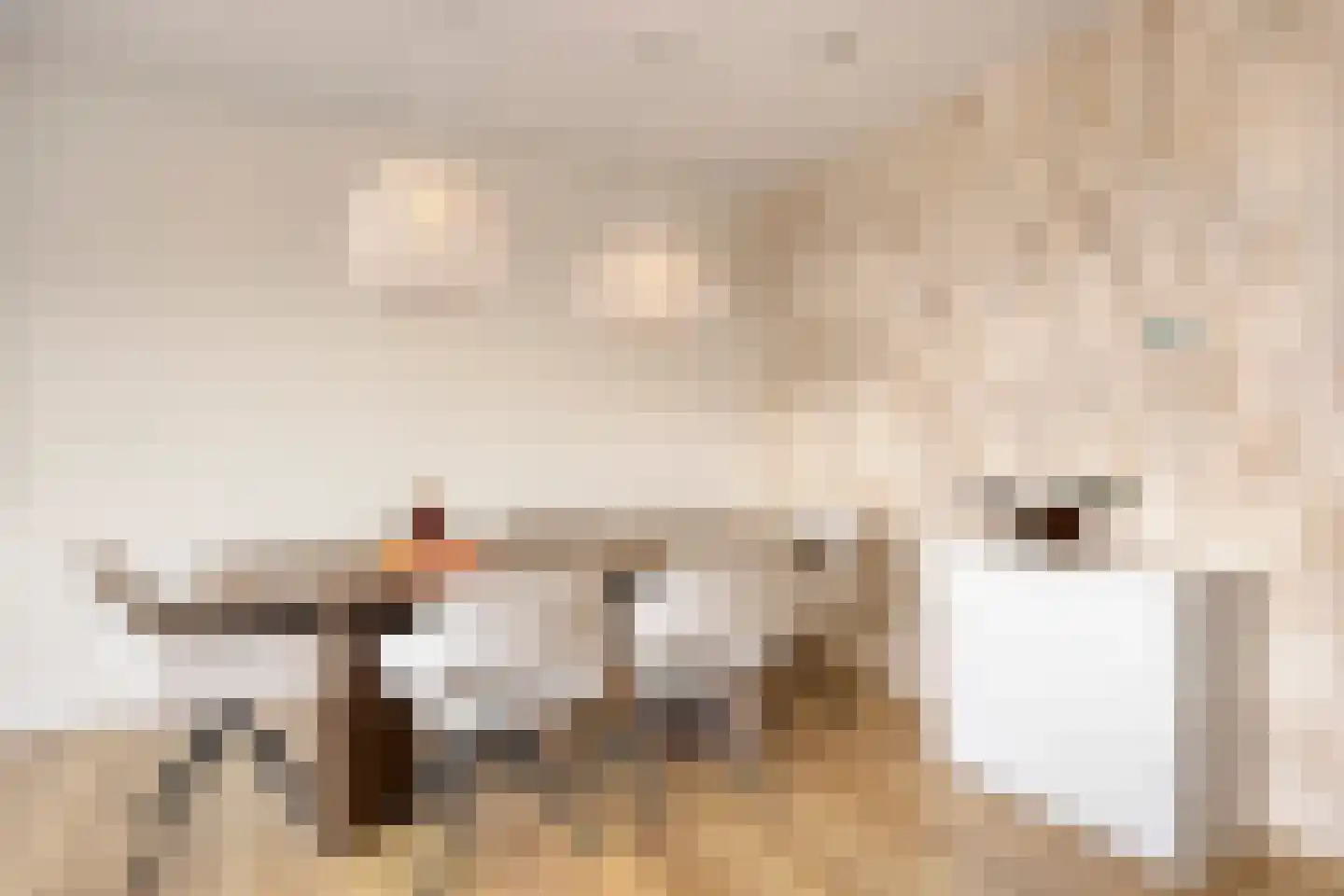 Torenbeemd 47 Oisterwijk thumbnail 20