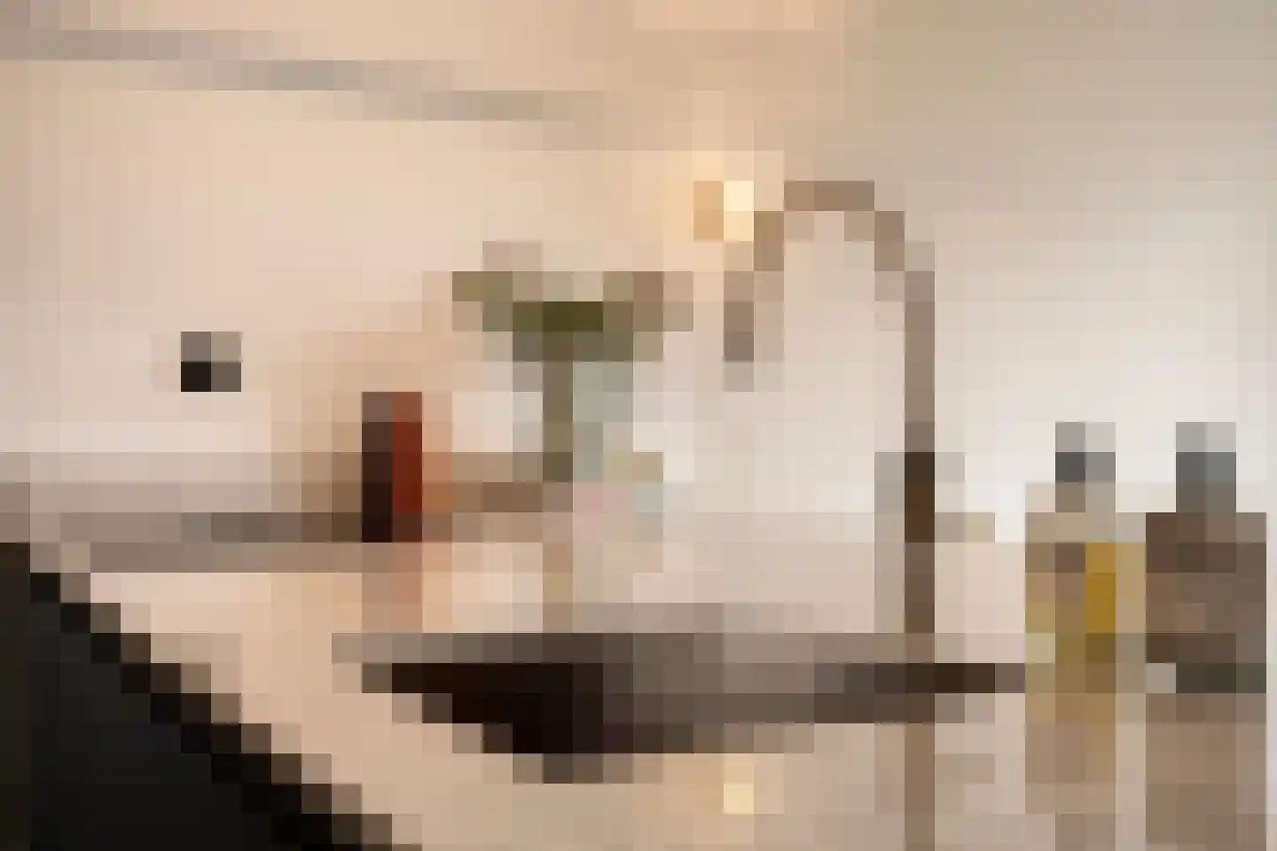 Torenbeemd 47 Oisterwijk thumbnail 22