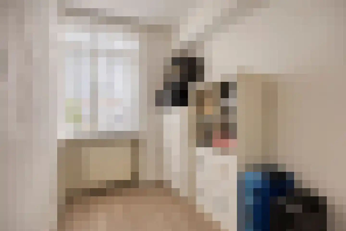 Torenbeemd 47 Oisterwijk thumbnail 33