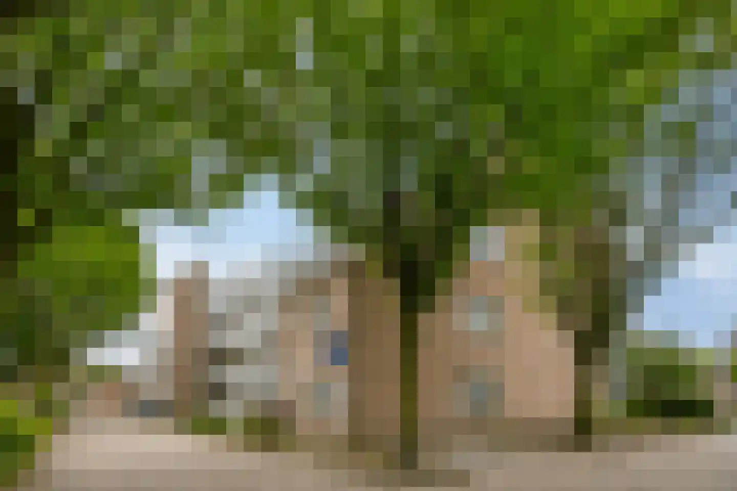 Torenbeemd 47 Oisterwijk thumbnail 40