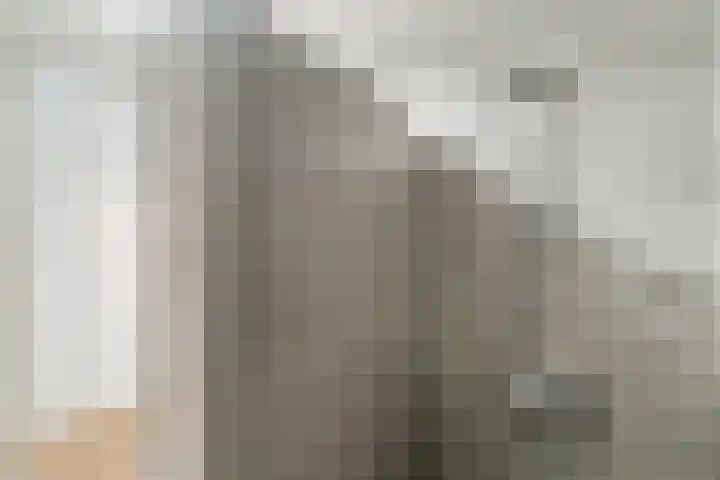 Torenbeemd 57 Oisterwijk thumbnail 19