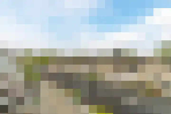 Torenbeemd 57 Oisterwijk thumbnail 22