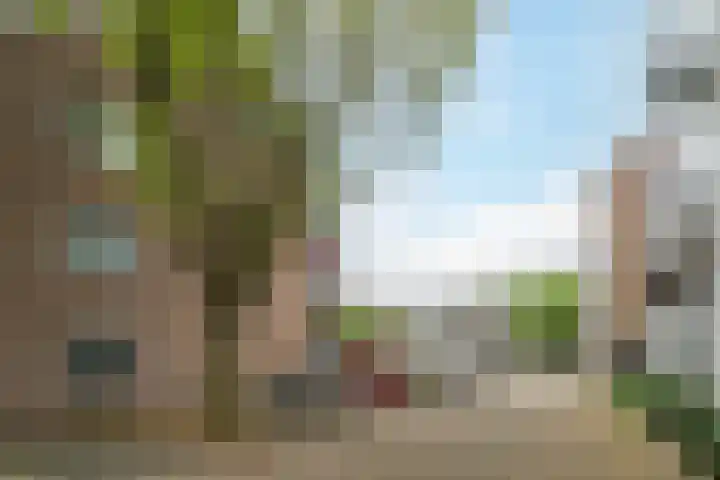 Torenbeemd 57 Oisterwijk thumbnail 23