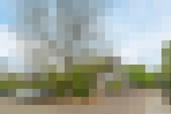 Torenbeemd 57 Oisterwijk thumbnail 24