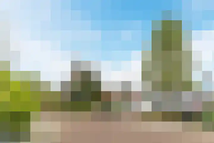 Torenbeemd 57 Oisterwijk thumbnail 25