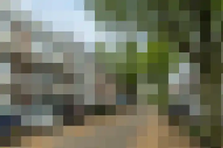 Torenbeemd 57 Oisterwijk thumbnail 26