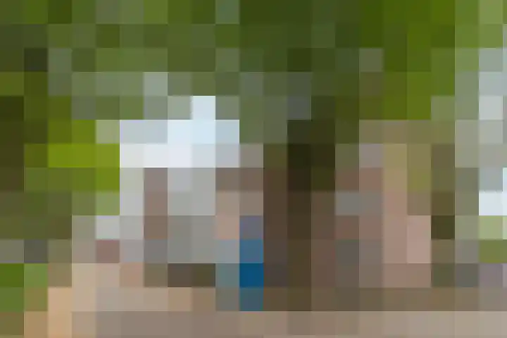 Torenbeemd 57 Oisterwijk thumbnail 28