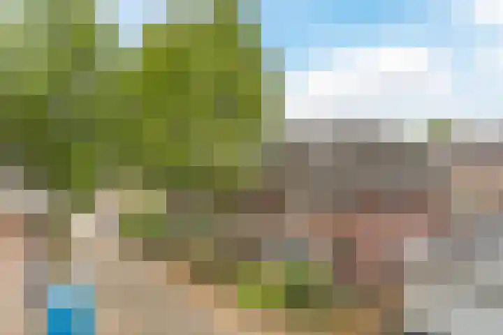 Torenbeemd 57 Oisterwijk thumbnail 29