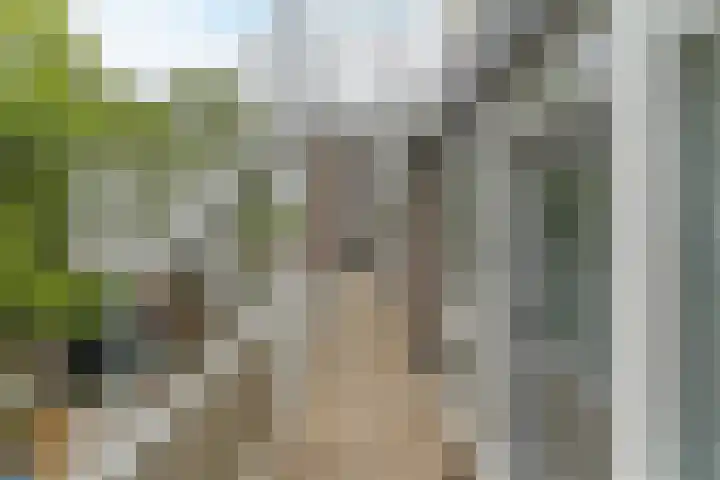 Torenbeemd 57 Oisterwijk thumbnail 30