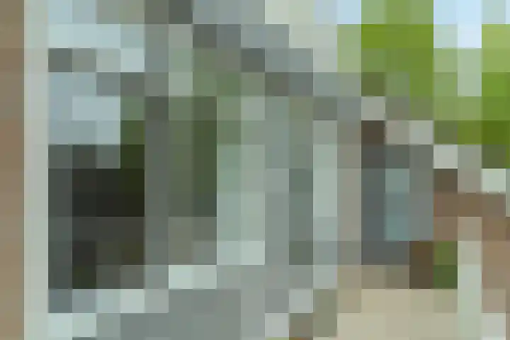 Torenbeemd 57 Oisterwijk thumbnail 31