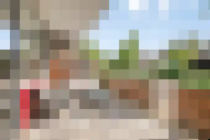 Torenbeemd 79 Oisterwijk thumbnail 20