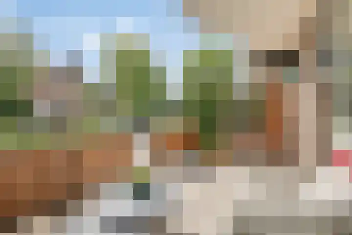 Torenbeemd 79 Oisterwijk thumbnail 21