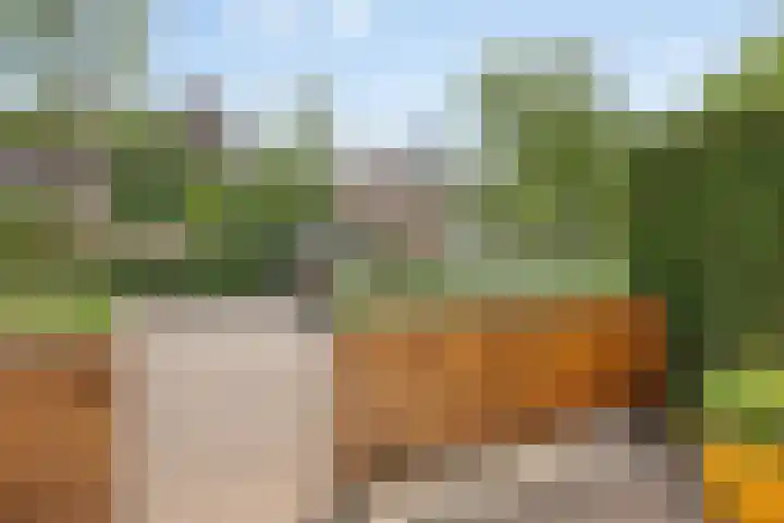 Torenbeemd 79 Oisterwijk thumbnail 22