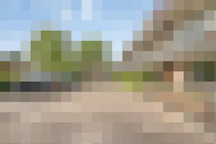 Torenbeemd 79 Oisterwijk thumbnail 24