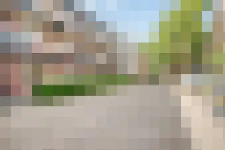 Torenbeemd 79 Oisterwijk thumbnail 27