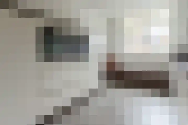 Torenbergerhout 120 Harderwijk thumbnail 13