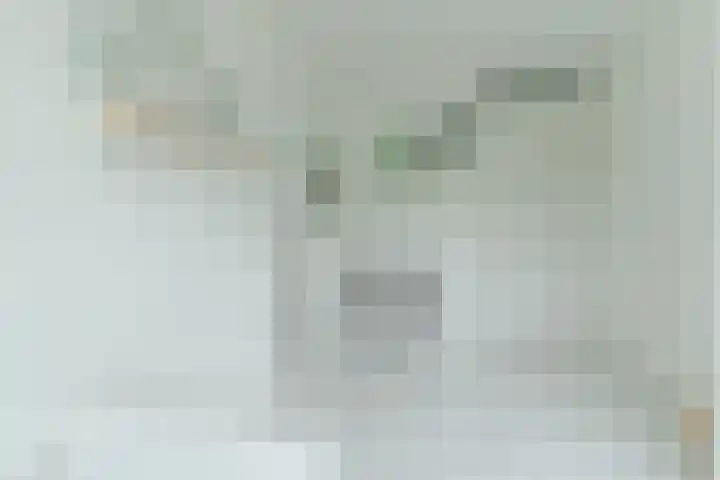 Torenbergerhout 120 Harderwijk thumbnail 20