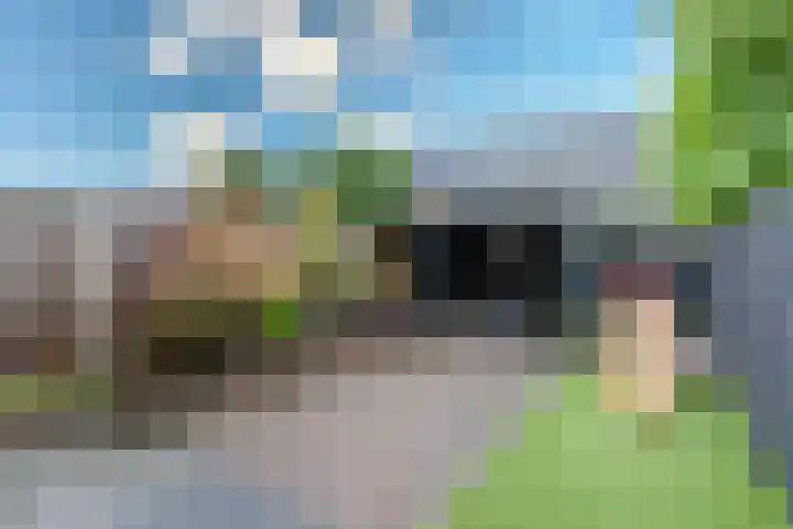Torenbergerhout 120 Harderwijk thumbnail 30