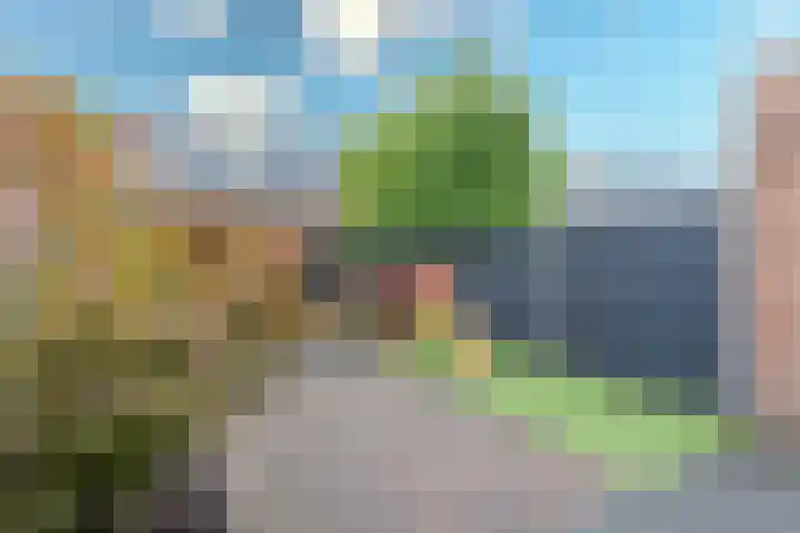 Torenbergerhout 120 Harderwijk thumbnail 31