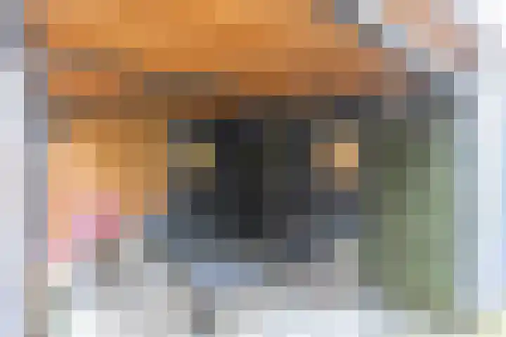 Torenbergerhout 120 Harderwijk thumbnail 32