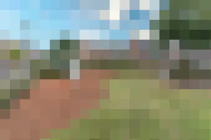 Torenbergerhout 120 Harderwijk thumbnail 34
