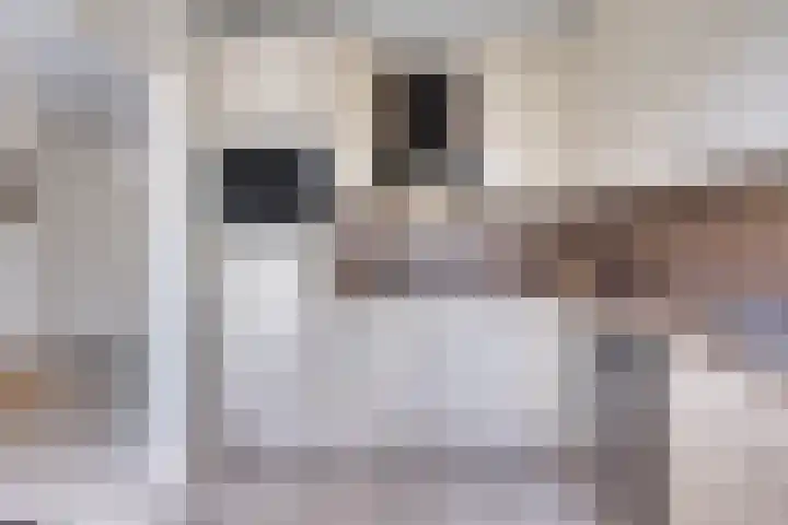 Torenberglaan 11 Eindhoven thumbnail 11