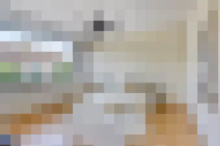Torenberglaan 11 Eindhoven thumbnail 14