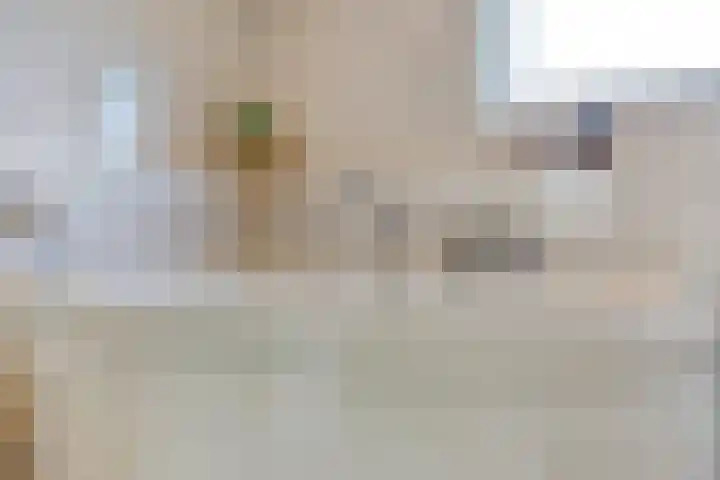 Torenberglaan 11 Eindhoven thumbnail 19