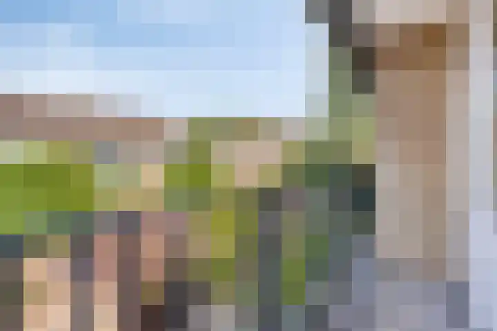 Torenberglaan 11 Eindhoven thumbnail 22