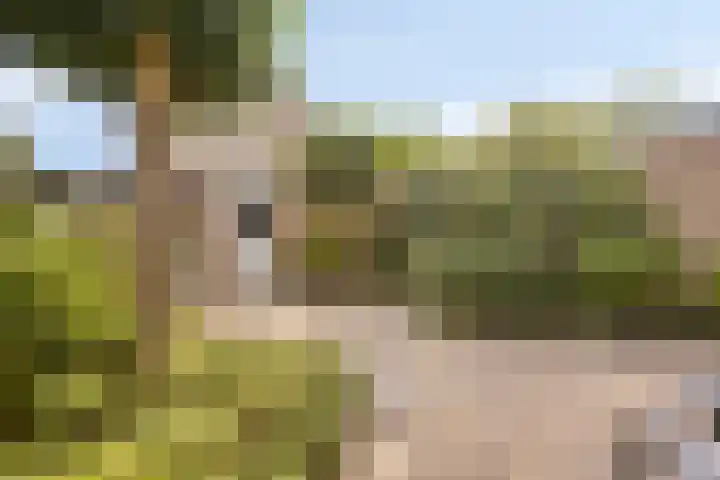 Torenberglaan 11 Eindhoven thumbnail 25