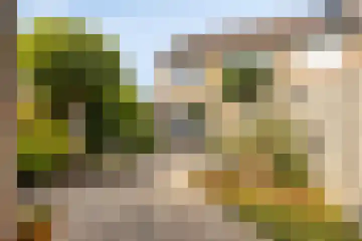 Torenberglaan 11 Eindhoven thumbnail 28