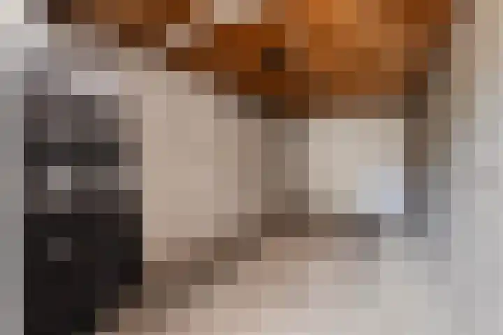 Torenberglaan 11 Eindhoven thumbnail 30