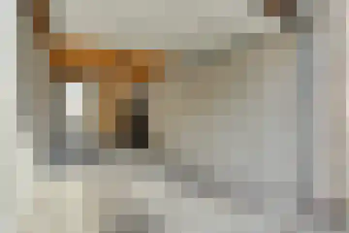 Torenberglaan 11 Eindhoven thumbnail 31