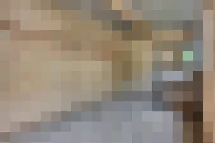 Torenberglaan 11 Eindhoven thumbnail 32