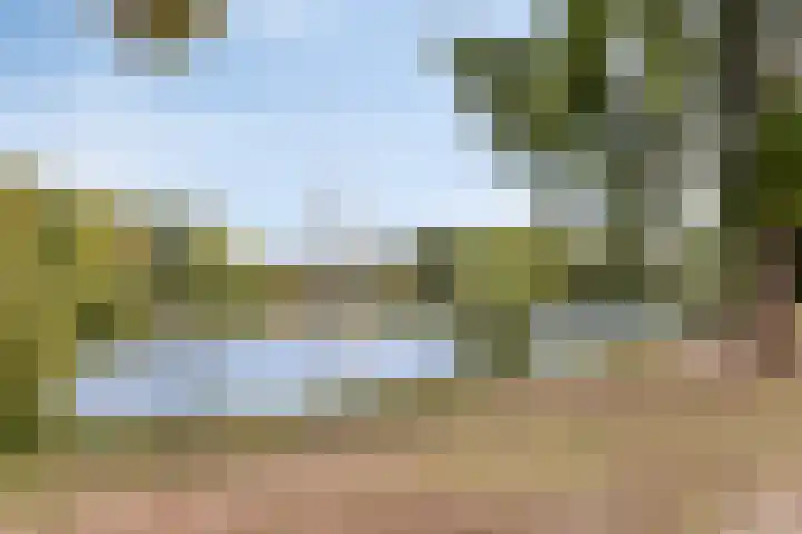 Torenberglaan 11 Eindhoven thumbnail 33
