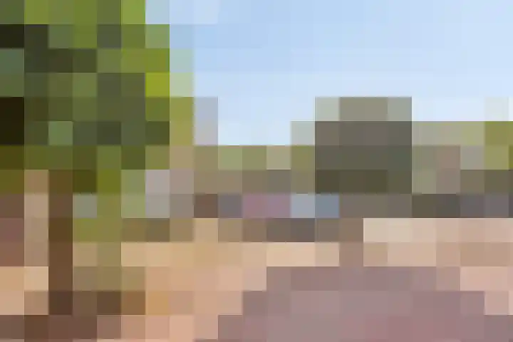 Torenberglaan 11 Eindhoven thumbnail 34