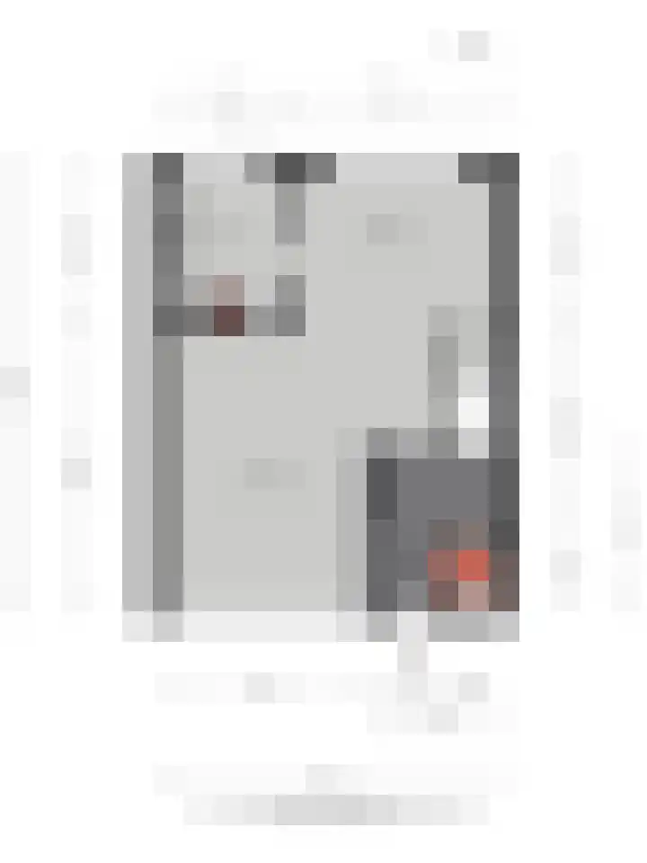Torenberglaan 11 Eindhoven thumbnail 36