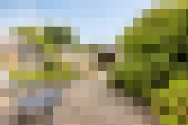 Torenberglaan 11 Eindhoven thumbnail 4