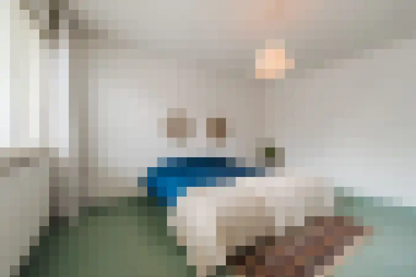 Torenberglaan 16 Eindhoven thumbnail 27