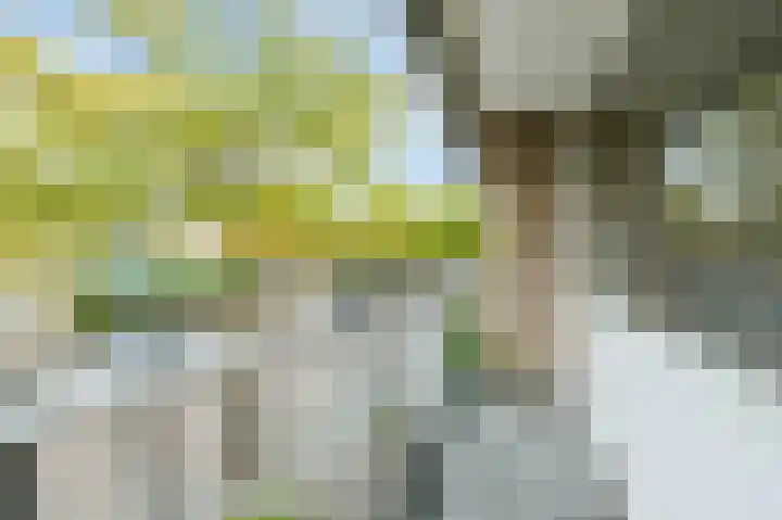 Torenberglaan 16 Eindhoven thumbnail 32