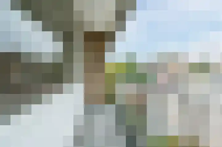 Torenberglaan 16 Eindhoven thumbnail 33