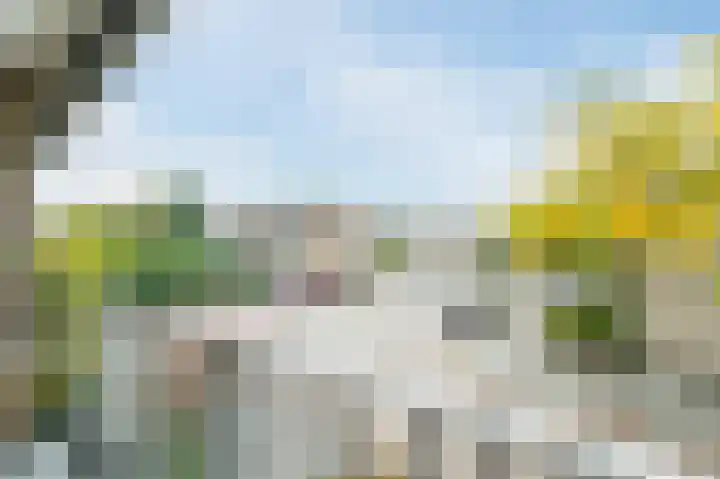 Torenberglaan 16 Eindhoven thumbnail 34