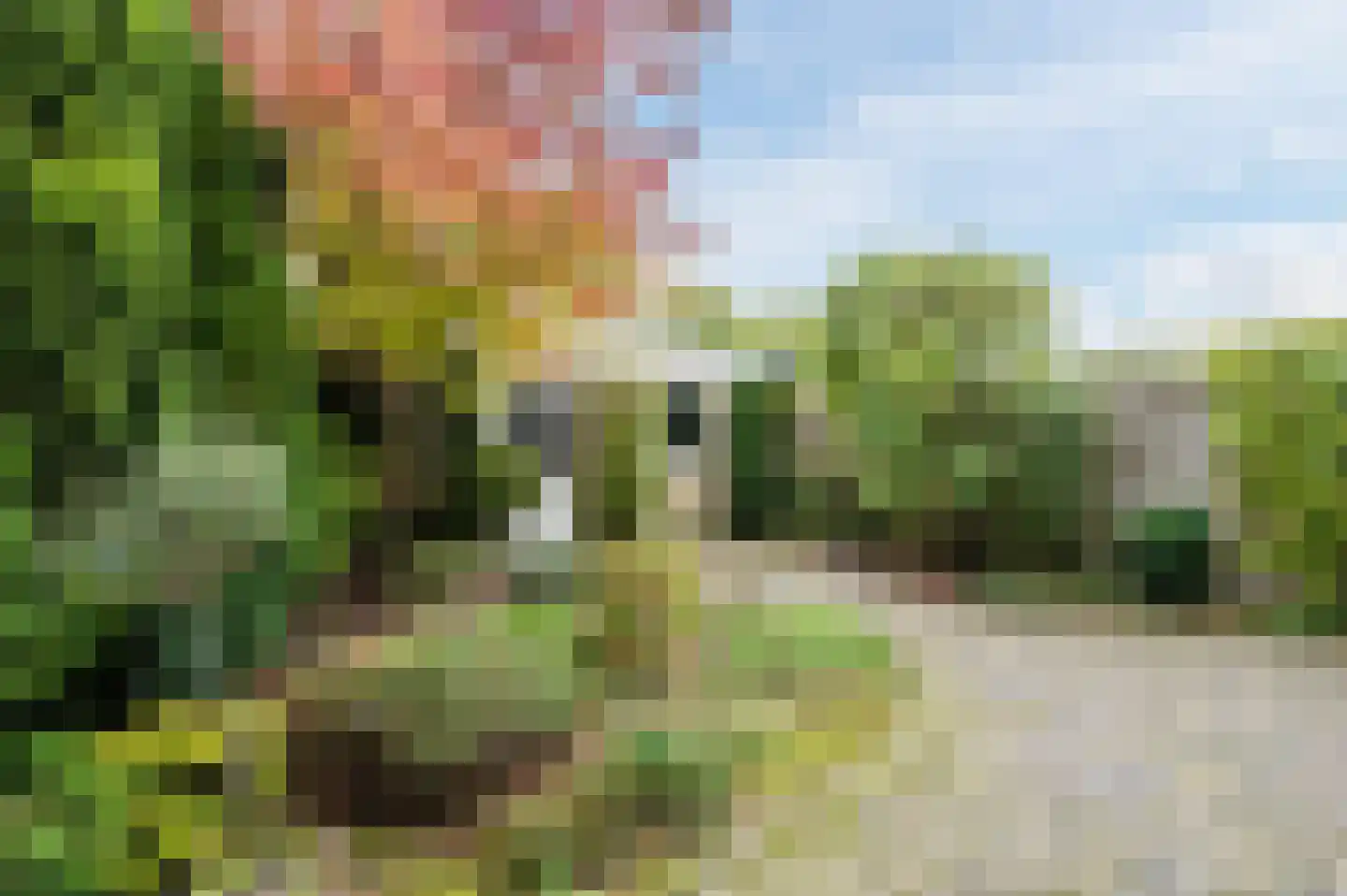 Torenberglaan 16 Eindhoven thumbnail 4