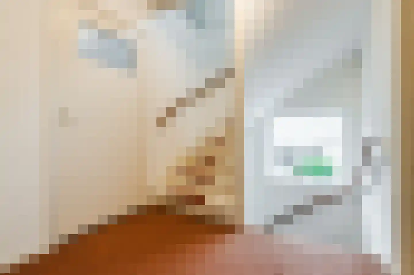 Torenberglaan 16 Eindhoven thumbnail 43