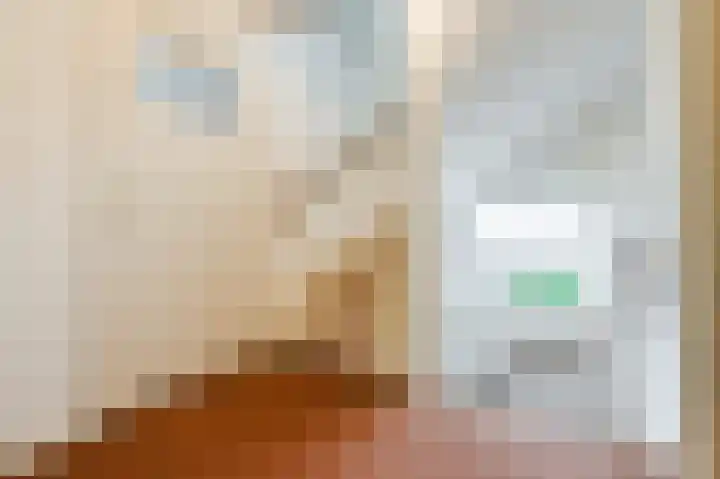 Torenberglaan 16 Eindhoven thumbnail 43