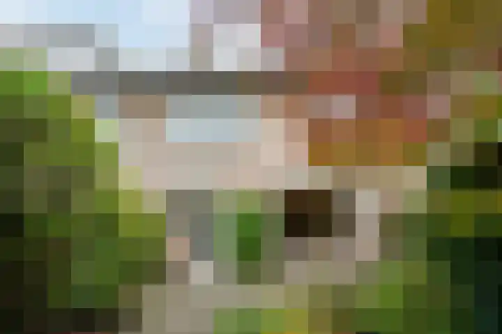 Torenberglaan 16 Eindhoven thumbnail 50
