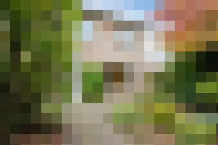 Torenberglaan 16 Eindhoven thumbnail 51
