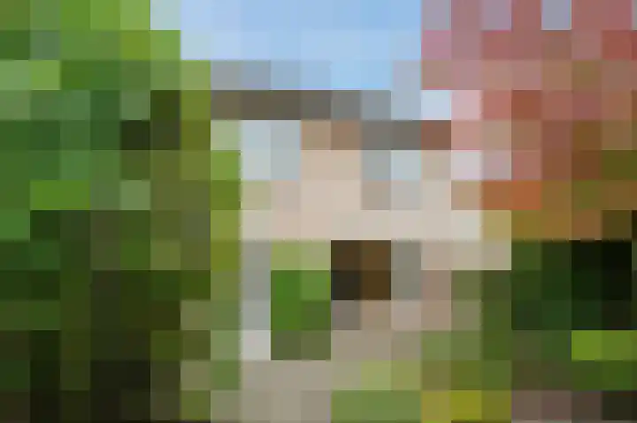 Torenberglaan 16 Eindhoven thumbnail 52
